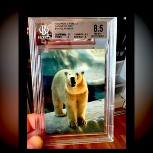 1993 World Famous San Diego Zoo #41 Polar Bear Graded 8.5 NM-MT+ BGS